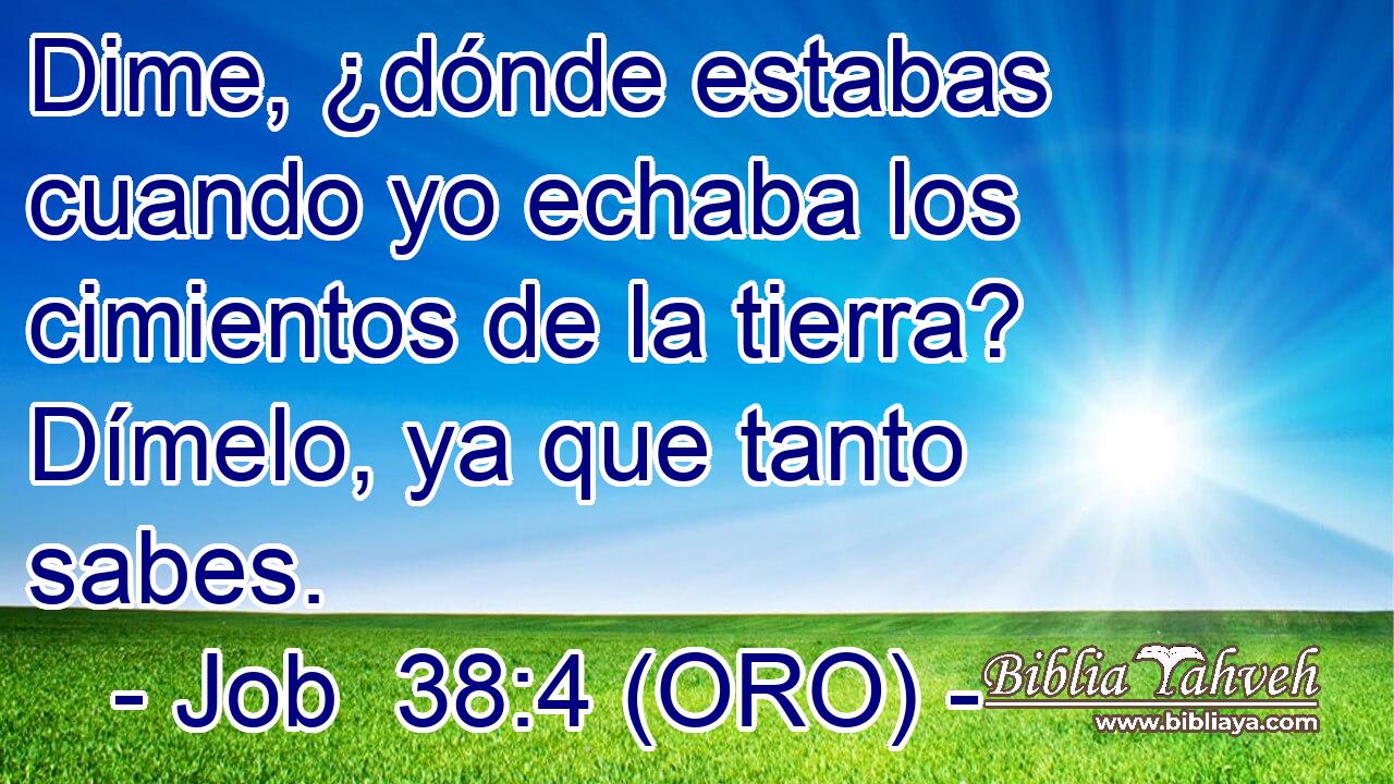  Dime, ¿dónde estabas cuando yo echaba los cimientos de la tierra? Dímelo, ya que tanto sabes. 