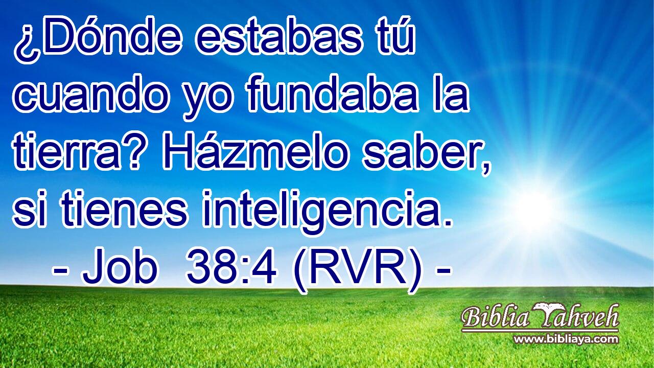 ¿Dónde estabas tú cuando yo fundaba la tierra? Házmelo saber, si tienes inteligencia.