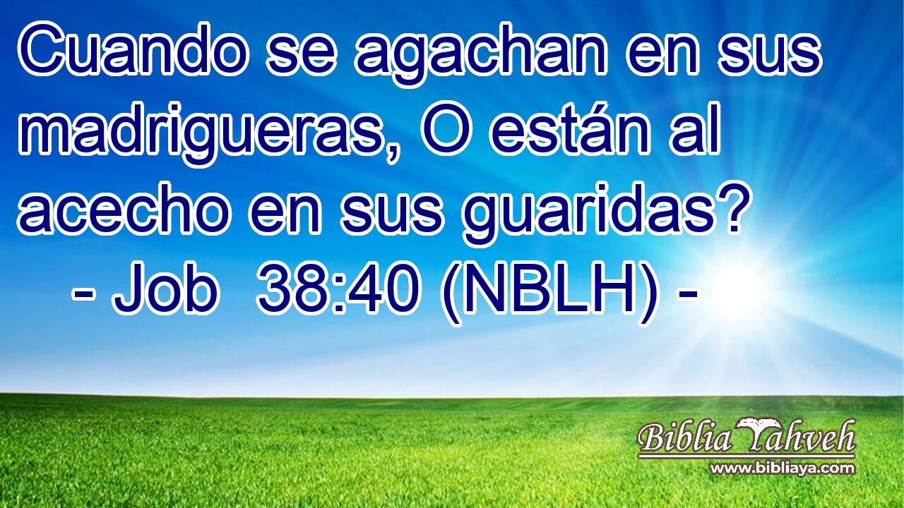  Cuando se agachan en sus madrigueras, O están al acecho en sus guaridas? 