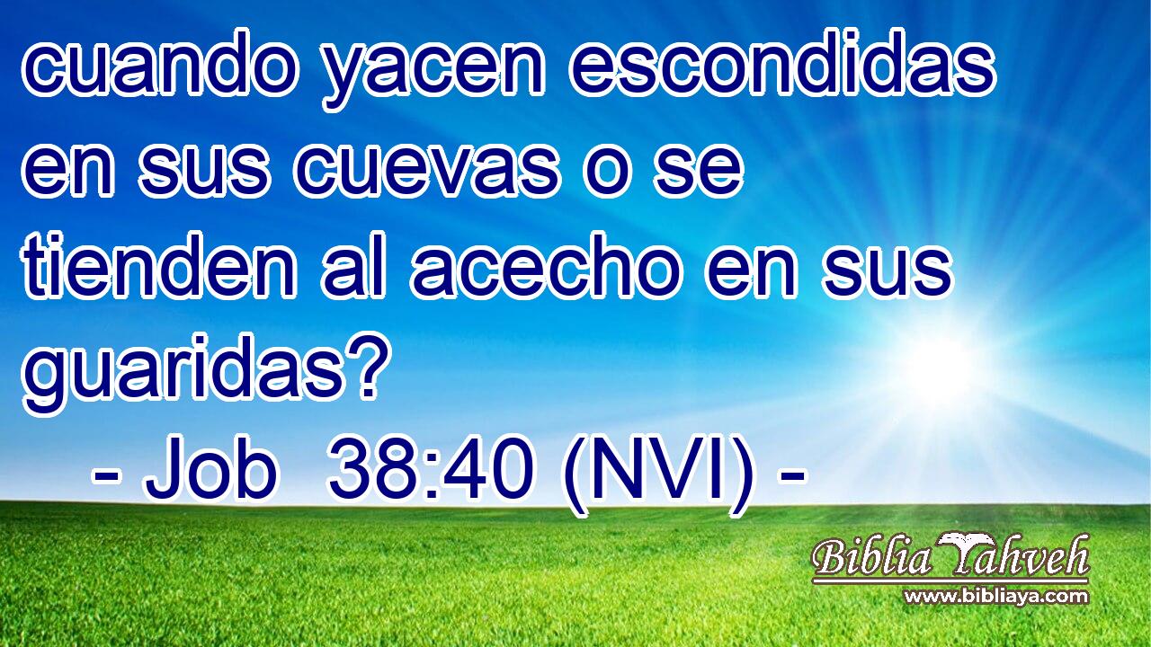 cuando yacen escondidas en sus cuevas o se tienden al acecho en sus guaridas? 