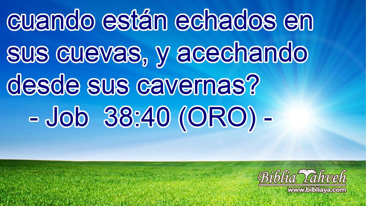  cuando están echados en sus cuevas, y acechando desde sus cavernas? 