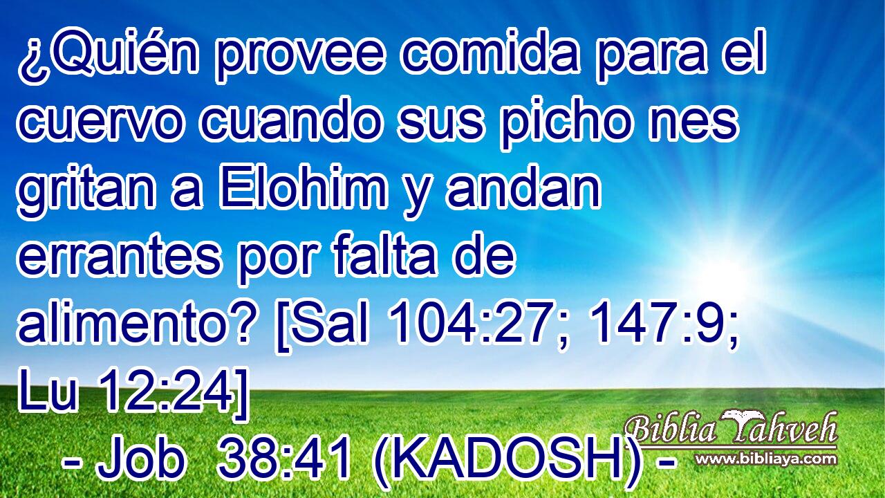  ¿Quién provee comida para el cuervo cuando sus picho nes gritan a Elohim y andan errantes por falta de alimento? [Sal 104:27; 147:9; Lu 12:24] 