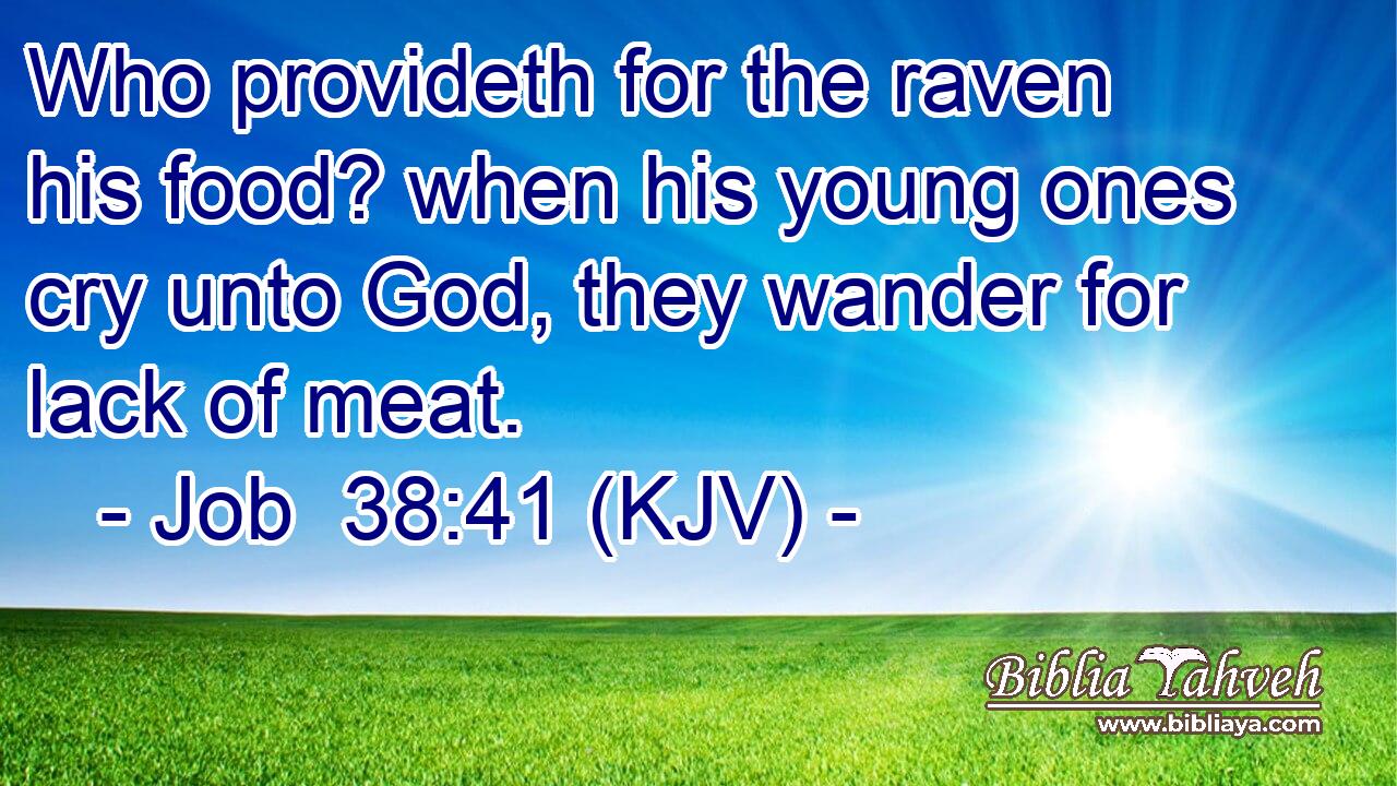 Who provideth for the raven his food? when his young ones cry unto God, they wander for lack of meat.