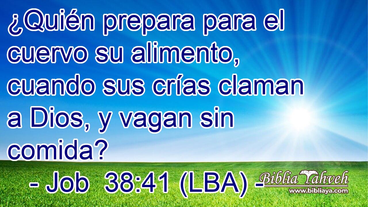 ¿Quién prepara para el cuervo su alimento, cuando sus crías claman a Dios, y vagan sin comida?