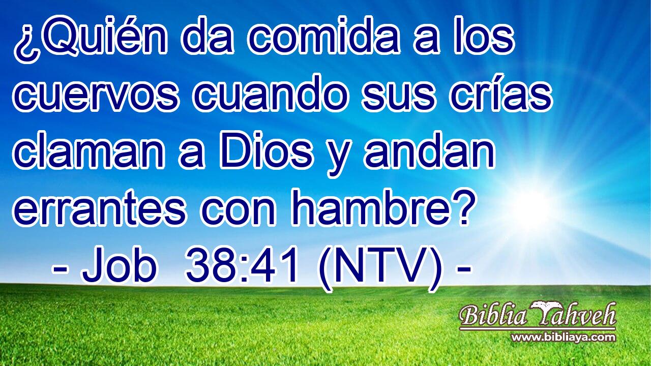 ¿Quién da comida a los cuervos cuando sus crías claman a Dios y andan errantes con hambre?