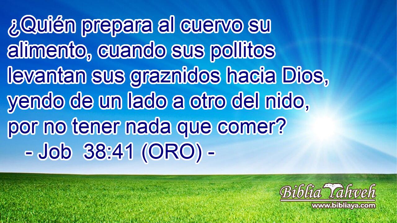  ¿Quién prepara al cuervo su alimento, cuando sus pollitos levantan sus graznidos hacia Dios, yendo de un lado a otro del nido, por no tener nada que comer? 