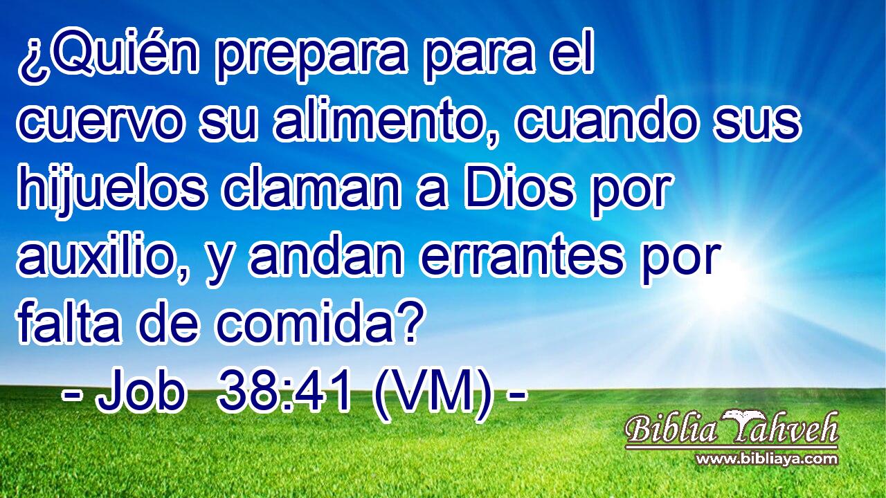  ¿Quién prepara para el cuervo su alimento, cuando sus hijuelos claman a Dios por auxilio, y andan errantes por falta de comida? 