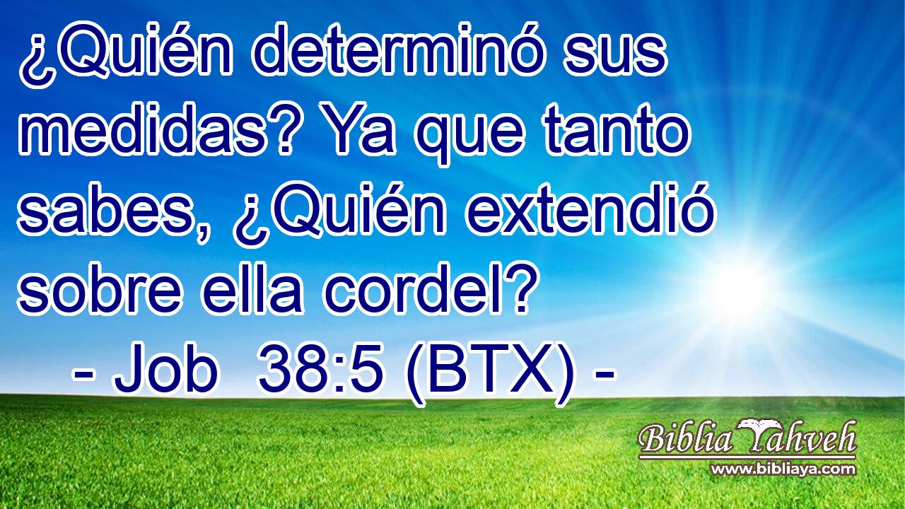 ¿Quién determinó sus medidas? Ya que tanto sabes, ¿Quién extendió sobre ella cordel?