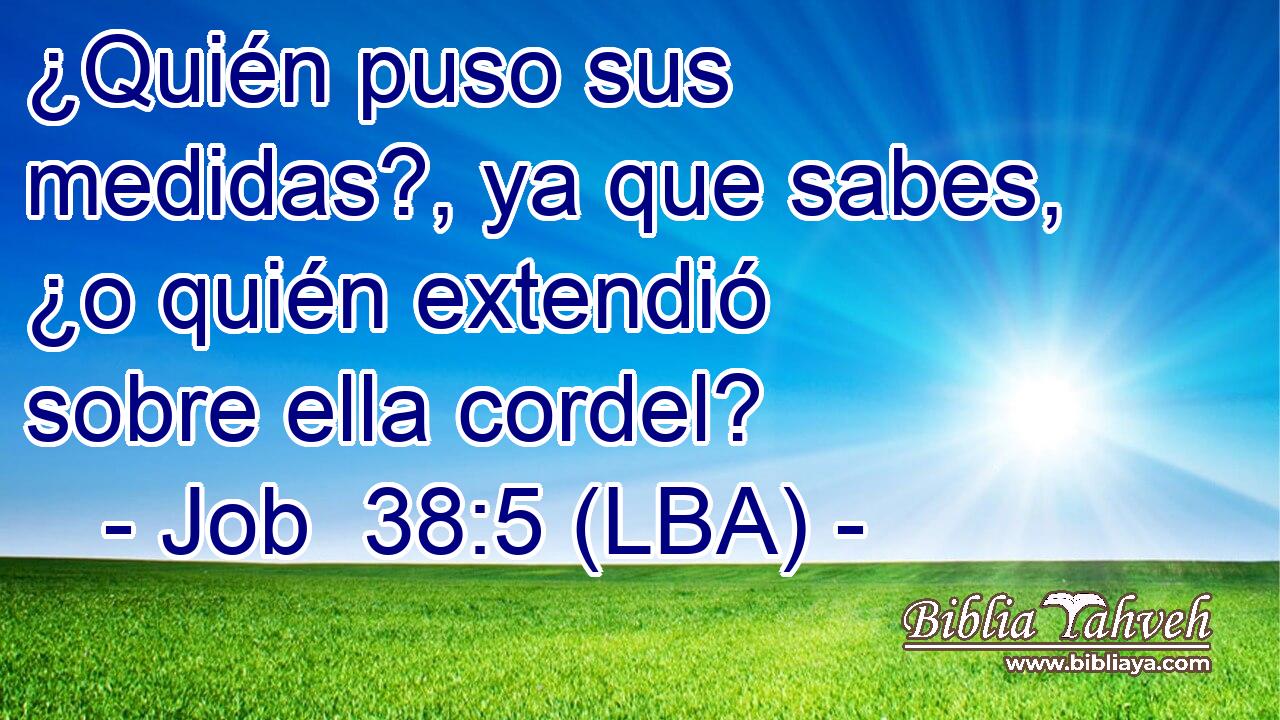 ¿Quién puso sus medidas?, ya que sabes, ¿o quién extendió sobre ella cordel?
