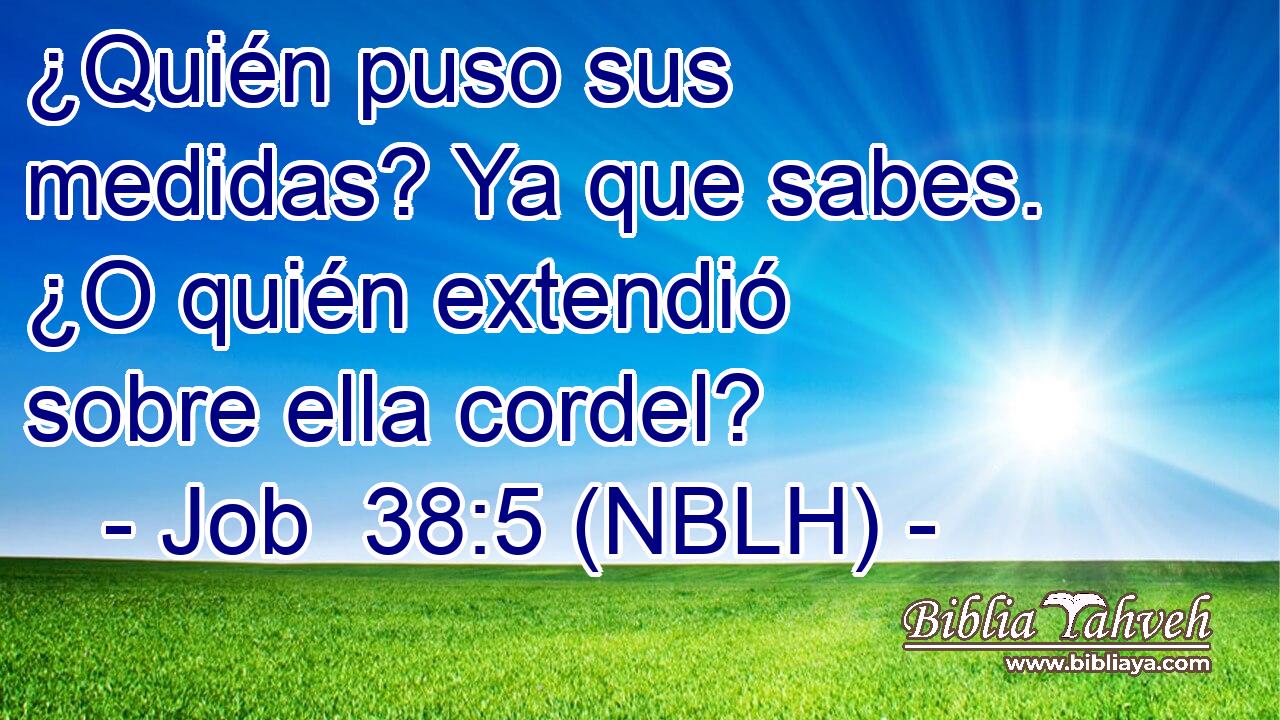  ¿Quién puso sus medidas? Ya que sabes. ¿O quién extendió sobre ella cordel? 
