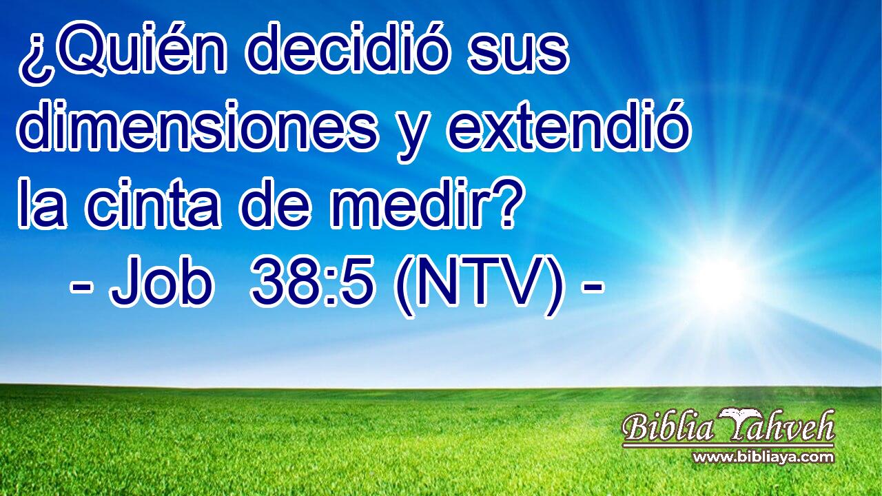 ¿Quién decidió sus dimensiones y extendió la cinta de medir?