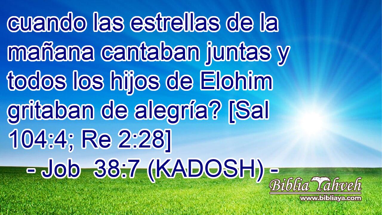  cuando las estrellas de la mañana cantaban juntas y todos los hijos de Elohim gritaban de alegría? [Sal 104:4; Re 2:28] 