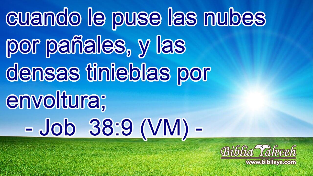  cuando le puse las nubes por pañales, y las densas tinieblas por envoltura; 