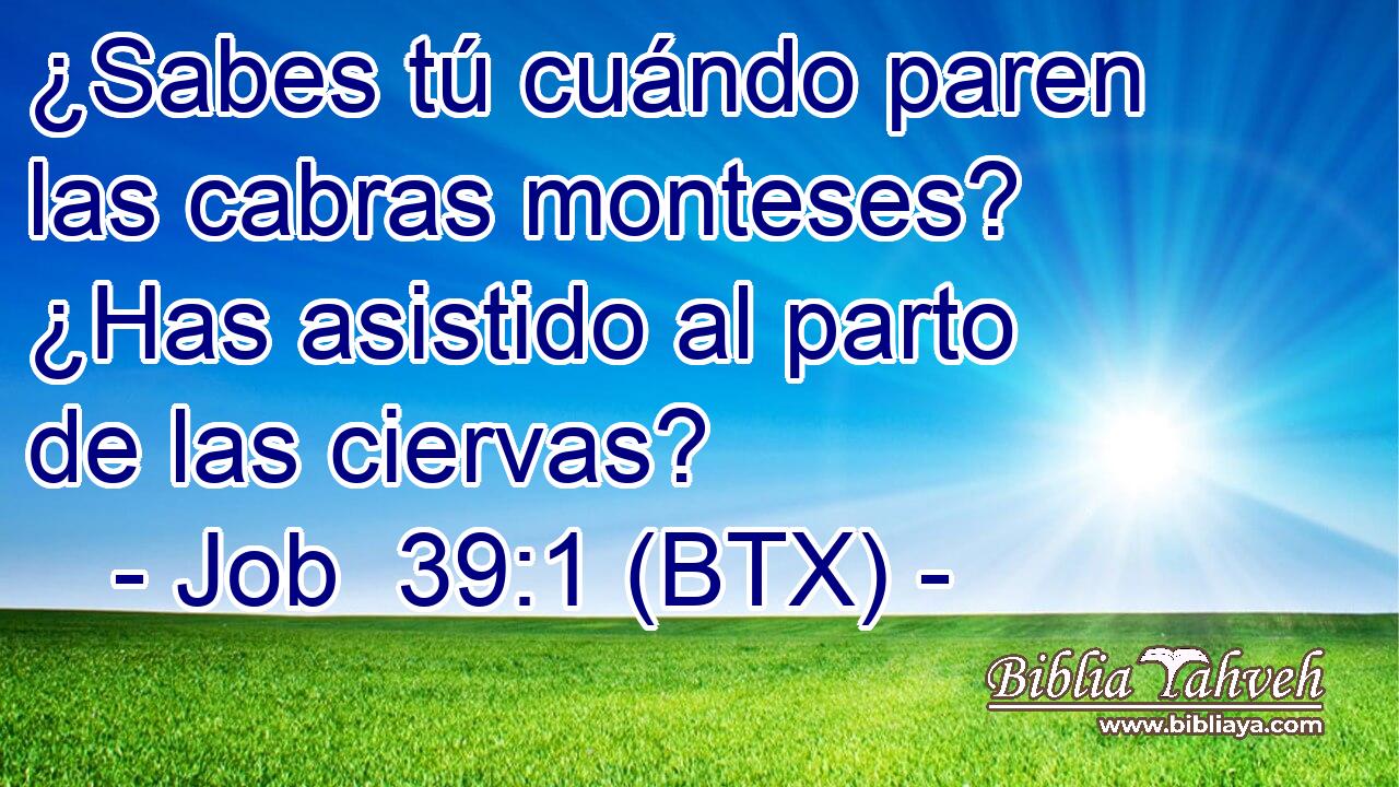 ¿Sabes tú cuándo paren las cabras monteses? ¿Has asistido al parto de las ciervas?