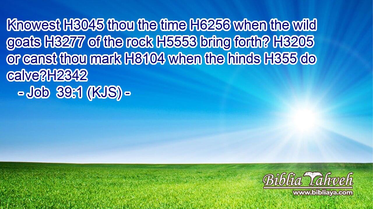 Knowest H3045 thou the time H6256 when the wild goats H3277 of the rock H5553 bring forth? H3205 or canst thou mark H8104 when the hinds H355 do calve?H2342