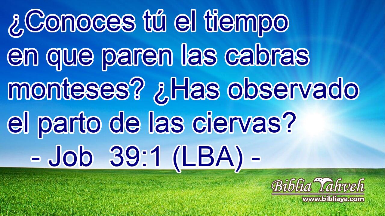 ¿Conoces tú el tiempo en que paren las cabras monteses? ¿Has observado el parto de las ciervas?