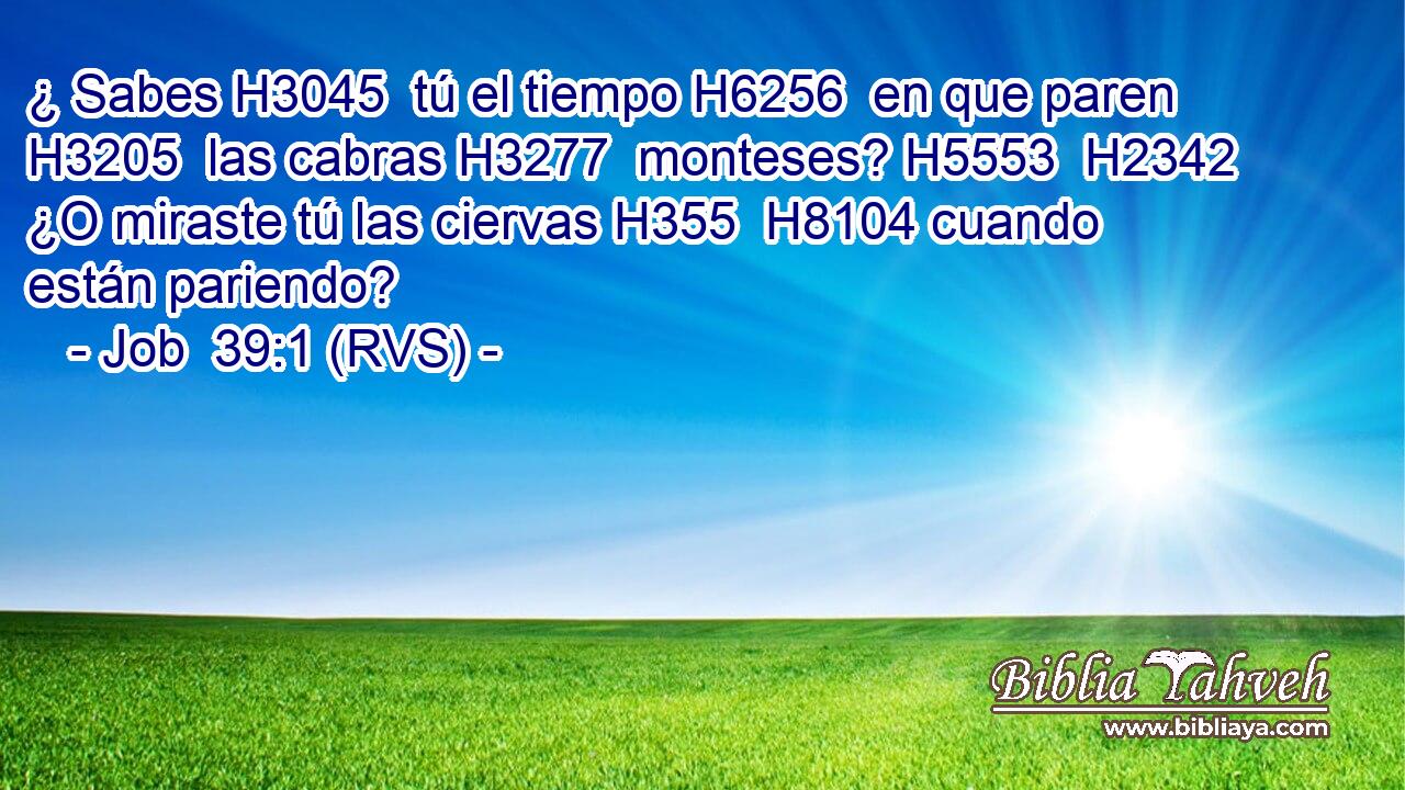 ¿ Sabes H3045  tú el tiempo H6256  en que paren H3205  las cabras H3277  monteses? H5553  H2342 ¿O miraste tú las ciervas H355  H8104 cuando están pariendo? 