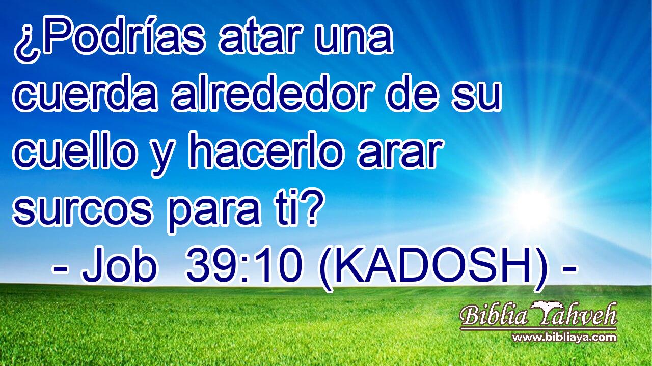 ¿Podrías atar una cuerda alrededor de su cuello y hacerlo arar surcos para ti? 