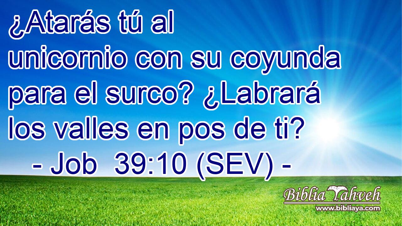 ¿Atarás tú al unicornio con su coyunda para el surco? ¿Labrará los valles en pos de ti?