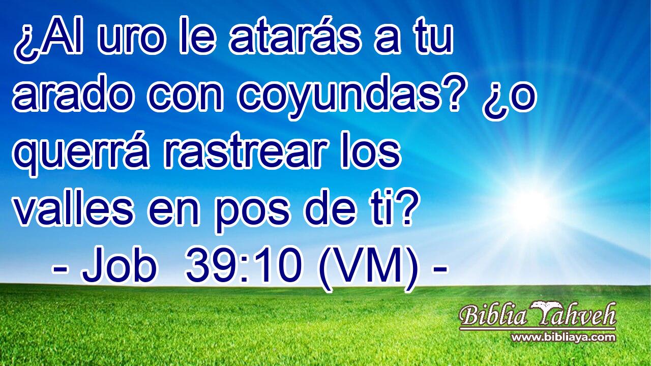  ¿Al uro le atarás a tu arado con coyundas? ¿o querrá rastrear los valles en pos de ti? 