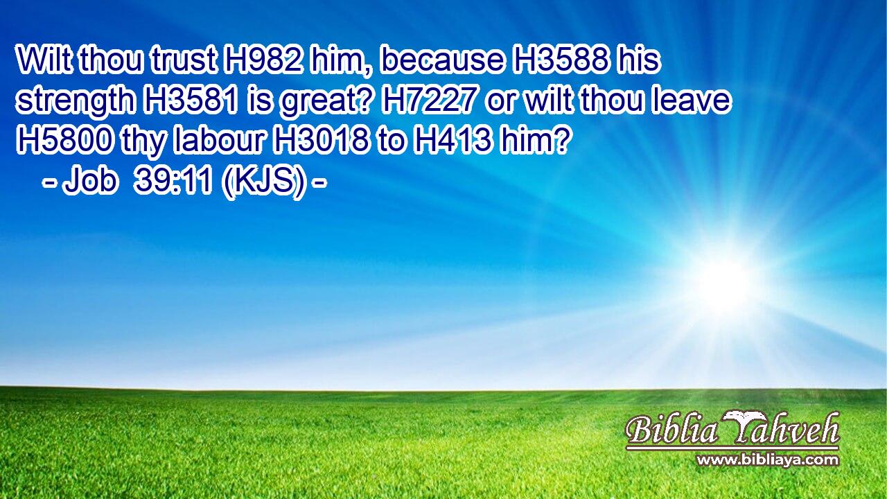 Wilt thou trust H982 him, because H3588 his strength H3581 is great? H7227 or wilt thou leave H5800 thy labour H3018 to H413 him?
