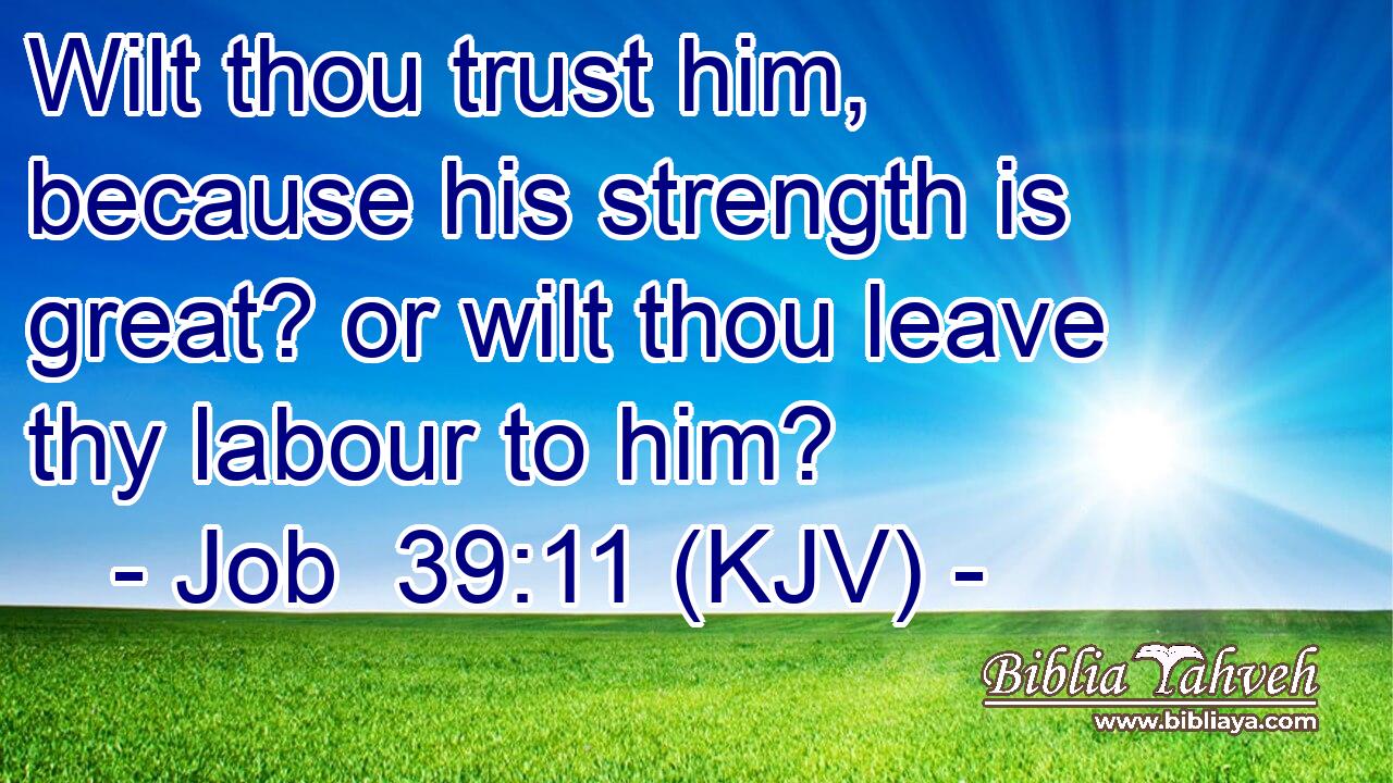 Wilt thou trust him, because his strength is great? or wilt thou leave thy labour to him?