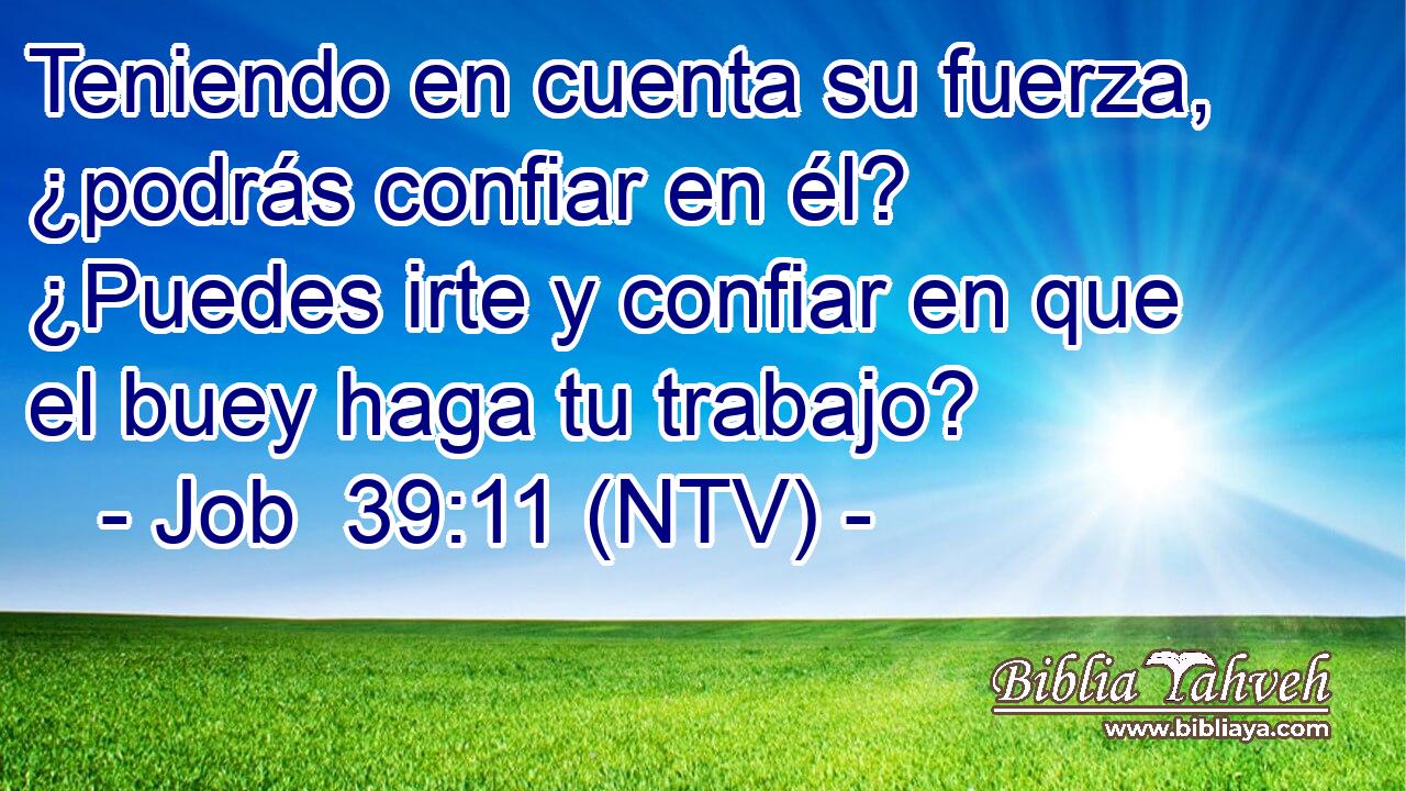 Teniendo en cuenta su fuerza, ¿podrás confiar en él? ¿Puedes irte y confiar en que el buey haga tu trabajo?