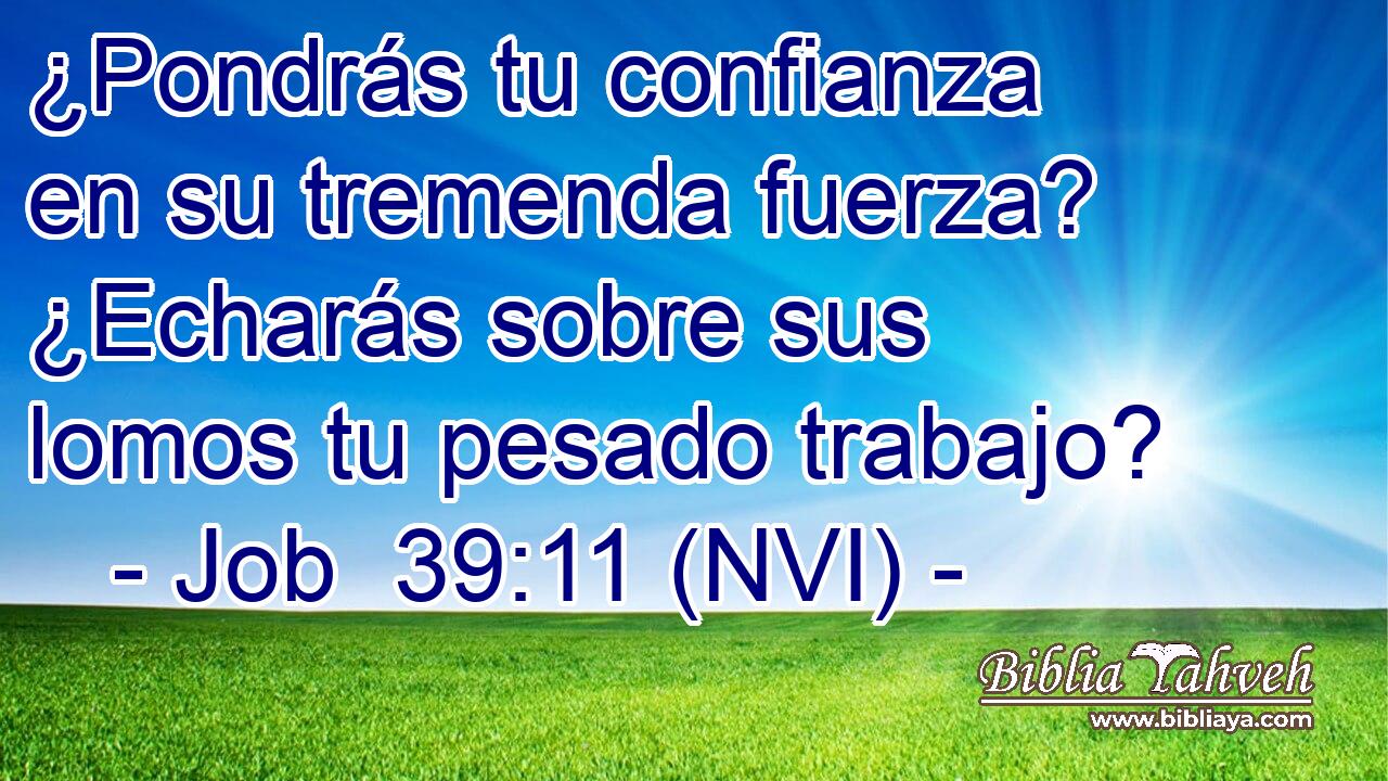  ¿Pondrás tu confianza en su tremenda fuerza? ¿Echarás sobre sus lomos tu pesado trabajo? 