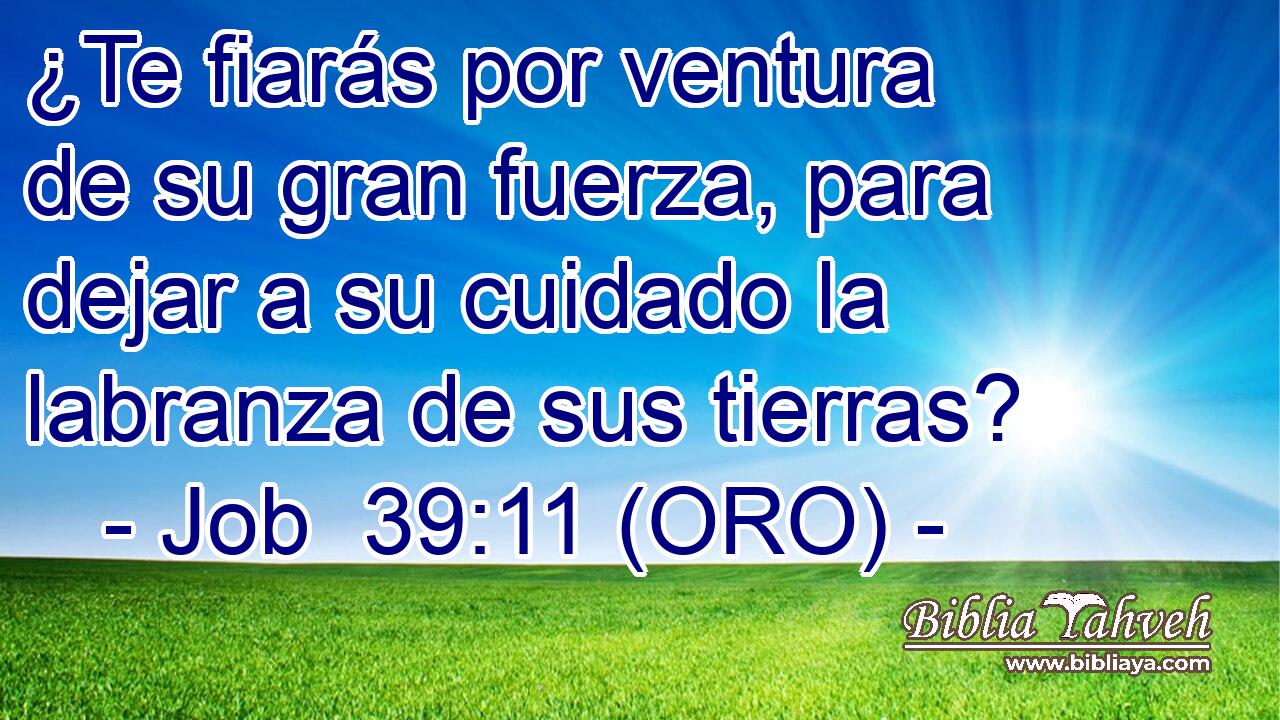  ¿Te fiarás por ventura de su gran fuerza, para dejar a su cuidado la labranza de sus tierras? 