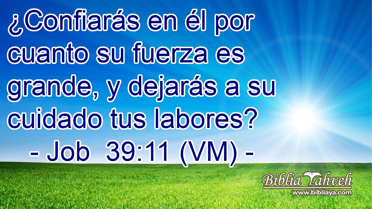  ¿Confiarás en él por cuanto su fuerza es grande, y dejarás a su cuidado tus labores? 