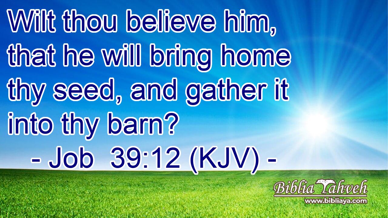 Wilt thou believe him, that he will bring home thy seed, and gather it into thy barn?