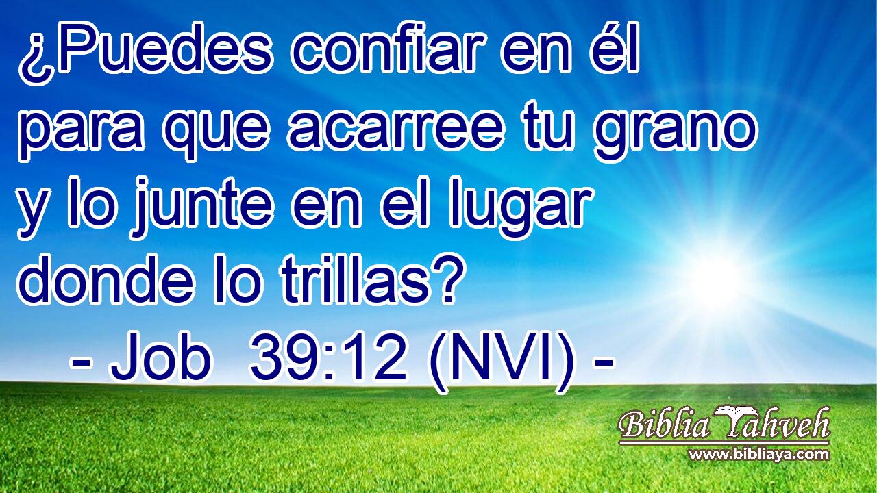 ¿Puedes confiar en él para que acarree tu grano y lo junte en el lugar donde lo trillas? 