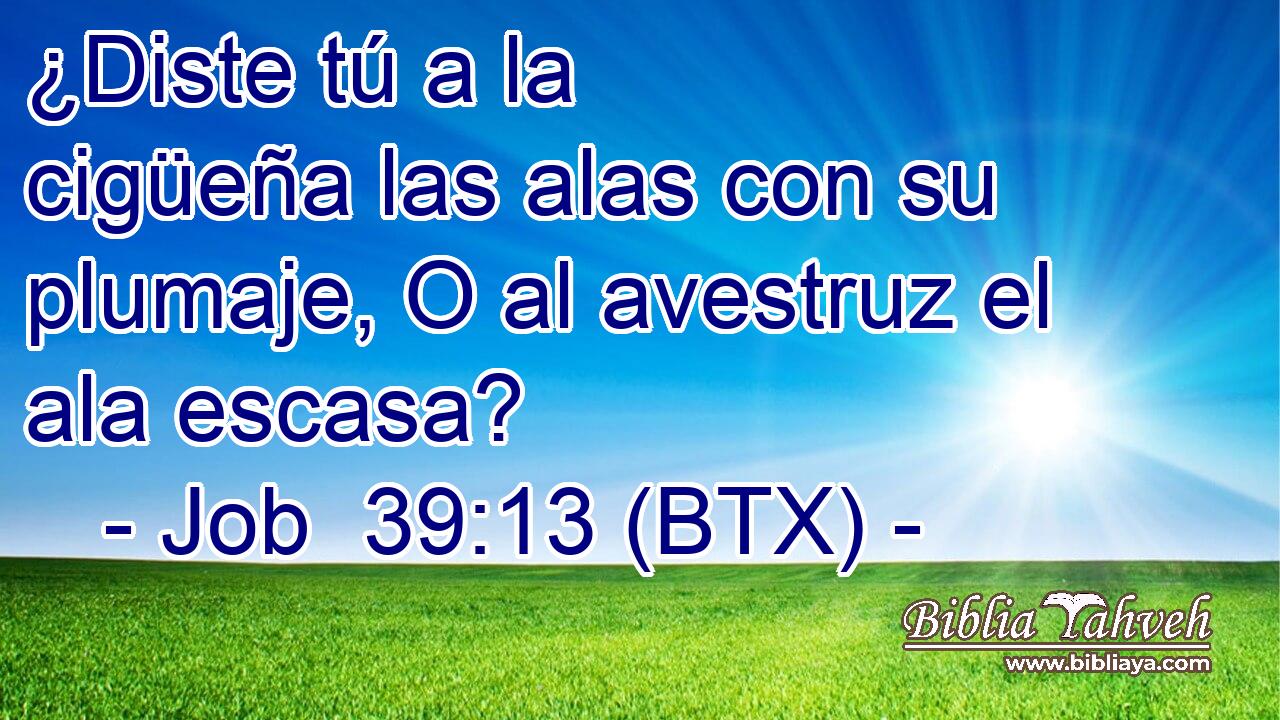 ¿Diste tú a la cigüeña las alas con su plumaje, O al avestruz el ala escasa?