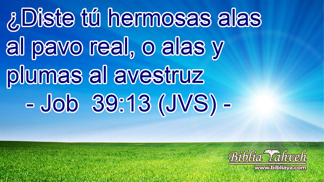 ¿Diste tú hermosas alas al pavo real, o alas y plumas al avestruz