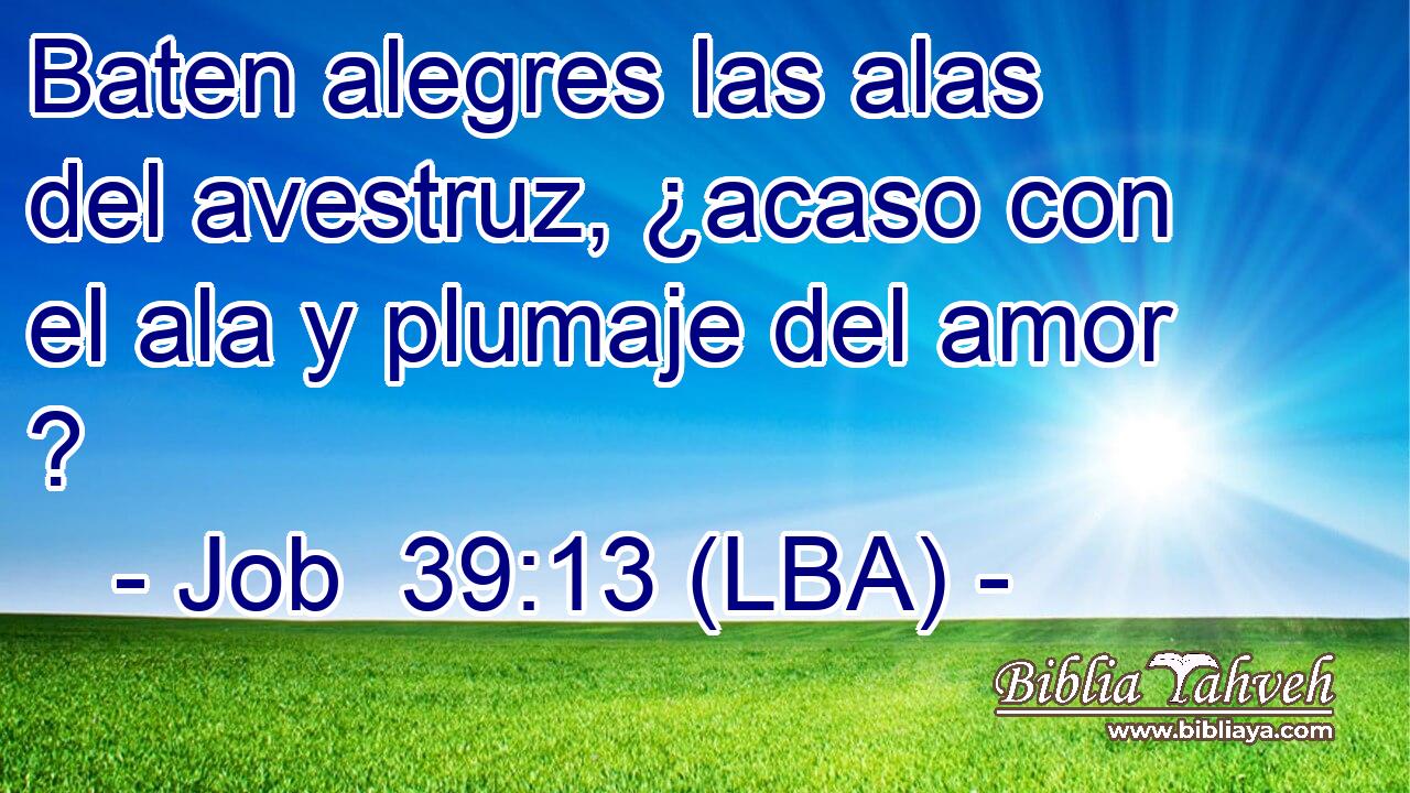 Baten alegres las alas del avestruz, ¿acaso con el ala y plumaje del amor ?