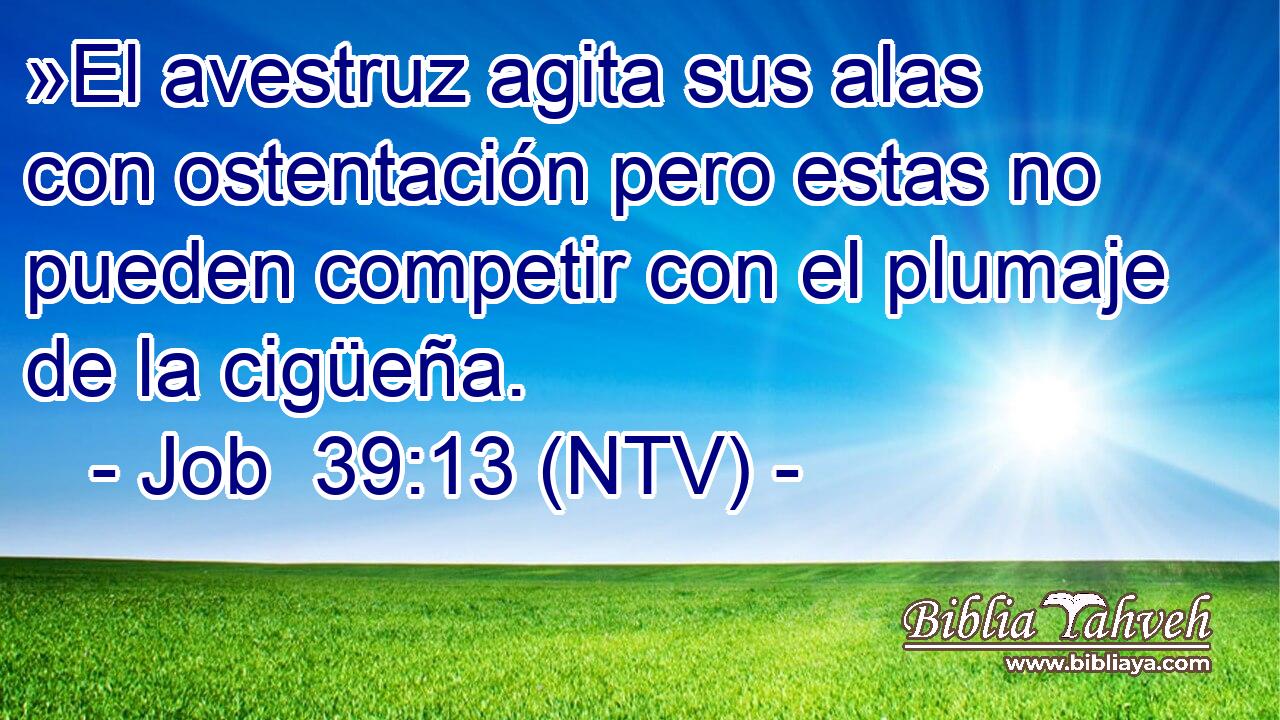 »El avestruz agita sus alas con ostentación pero estas no pueden competir con el plumaje de la cigüeña.