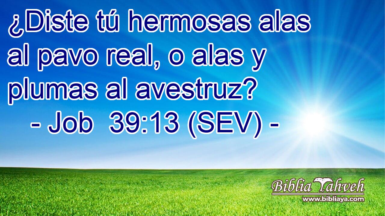 ¿Diste tú hermosas alas al pavo real, o alas y plumas al avestruz?
