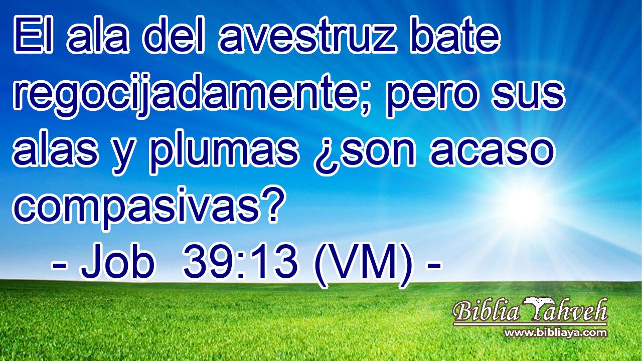  El ala del avestruz bate regocijadamente; pero sus alas y plumas ¿son acaso compasivas? 