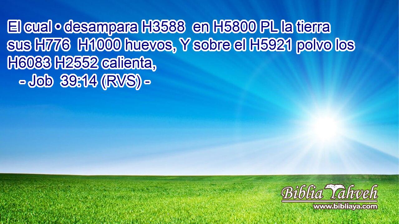 El cual • desampara H3588  en H5800 PL la tierra sus H776  H1000 huevos, Y sobre el H5921 polvo los H6083 H2552 calienta, 