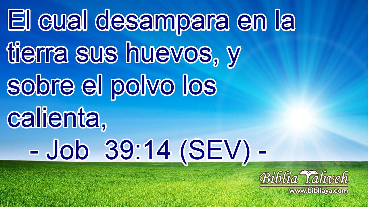 El cual desampara en la tierra sus huevos, y sobre el polvo los calienta,