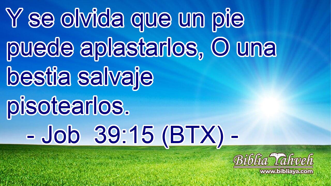 Y se olvida que un pie puede aplastarlos, O una bestia salvaje pisotearlos.