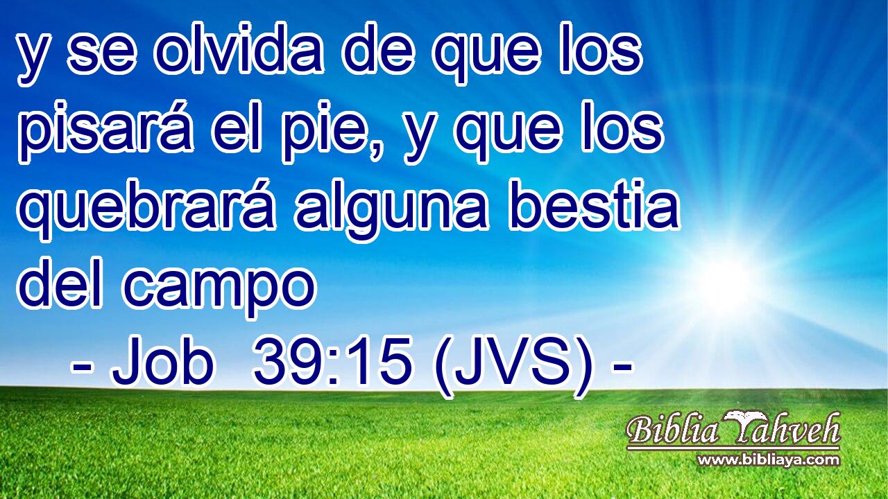 y se olvida de que los pisará el pie, y que los quebrará alguna bestia del campo