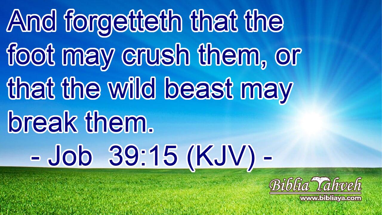 And forgetteth that the foot may crush them, or that the wild beast may break them.