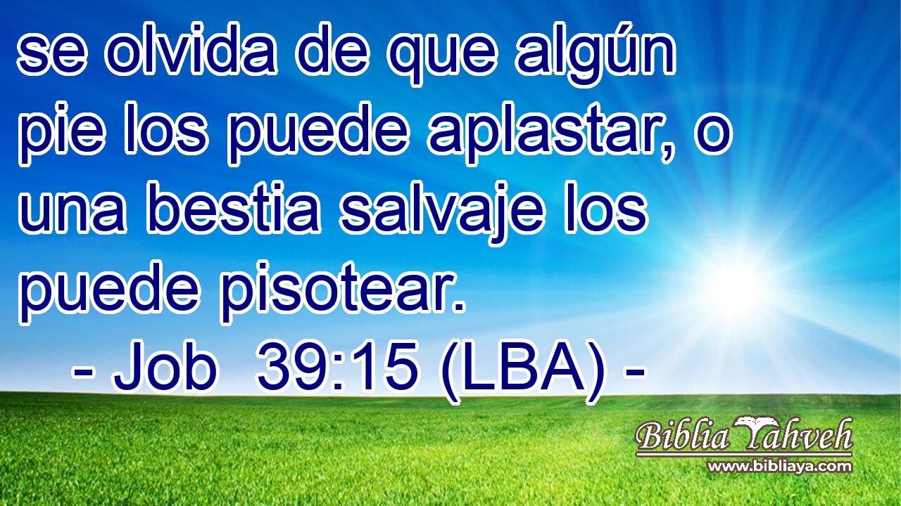 se olvida de que algún pie los puede aplastar, o una bestia salvaje los puede pisotear.