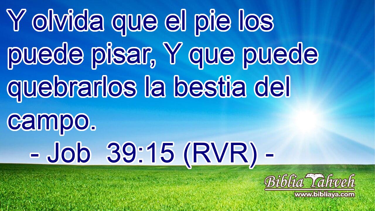 Y olvida que el pie los puede pisar, Y que puede quebrarlos la bestia del campo.