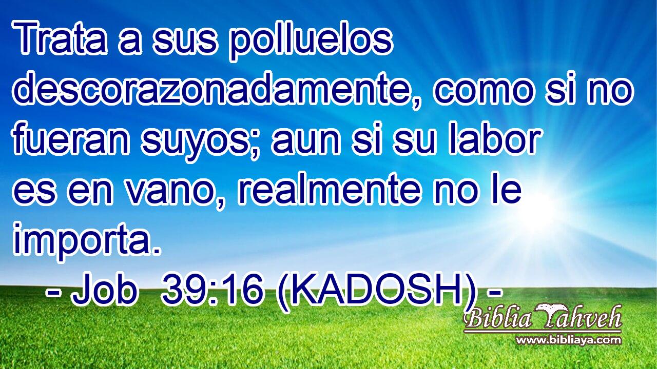  Trata a sus polluelos descorazonadamente, como si no fueran suyos; aun si su labor es en vano, realmente no le importa. 