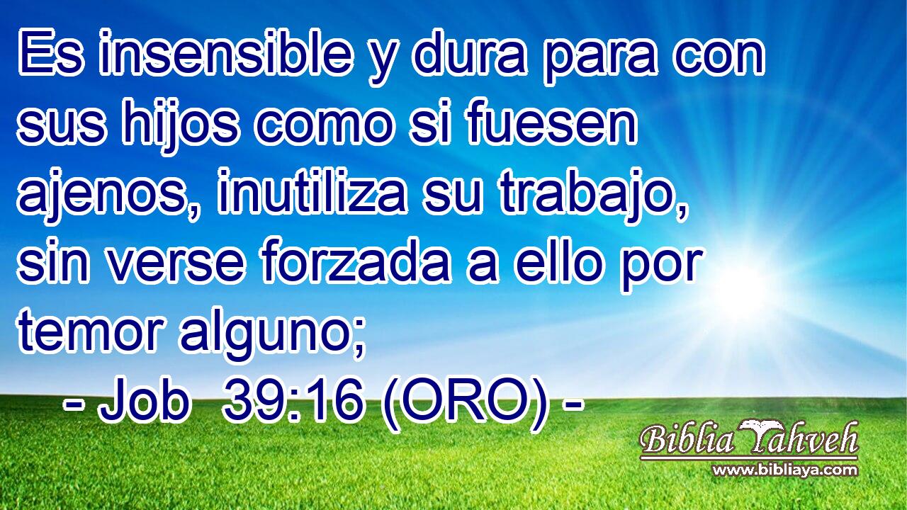  Es insensible y dura para con sus hijos como si fuesen ajenos, inutiliza su trabajo, sin verse forzada a ello por temor alguno; 