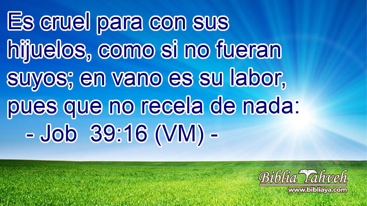  Es cruel para con sus hijuelos, como si no fueran suyos; en vano es su labor, pues que no recela de nada: 