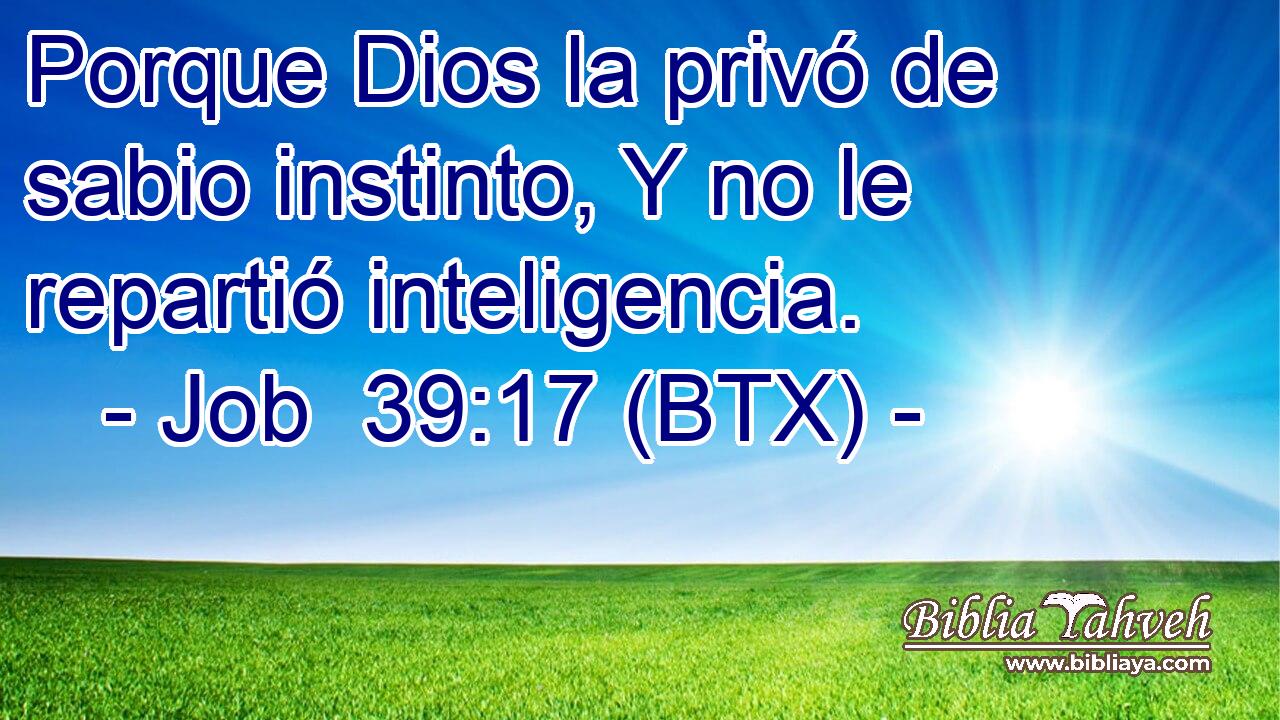 Porque Dios la privó de sabio instinto, Y no le repartió inteligencia.