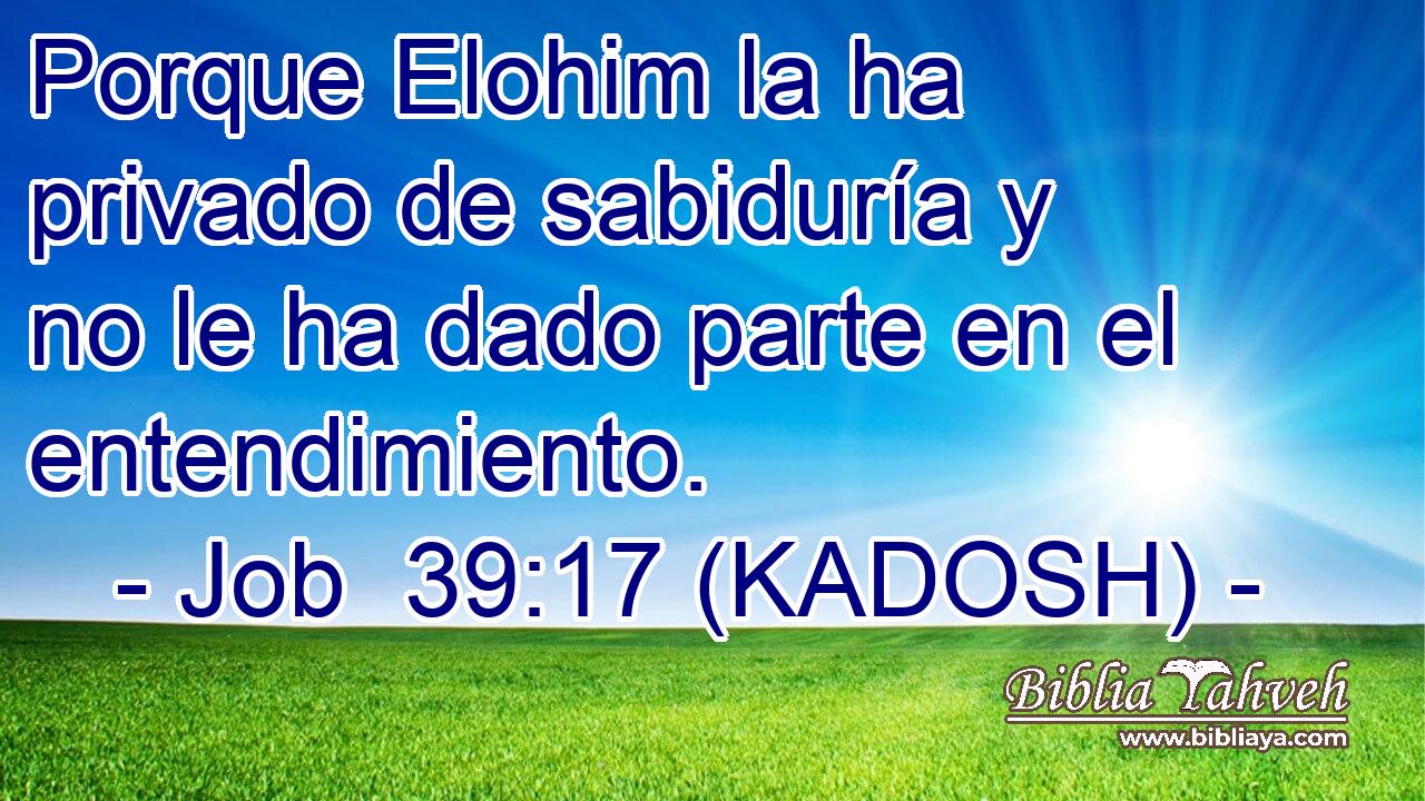  Porque Elohim la ha privado de sabiduría y no le ha dado parte en el entendimiento. 